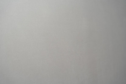 Tête de lit 150 cm Tapissée - Tissu Velours Gris Clair
